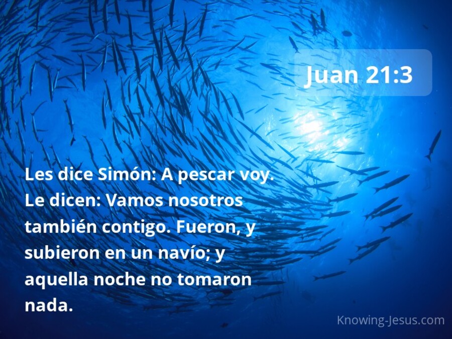 Juan 21:3 La pesca (Armada)